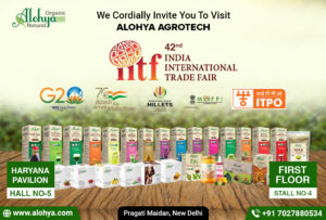 India International Trade Fair (IITF) 2023